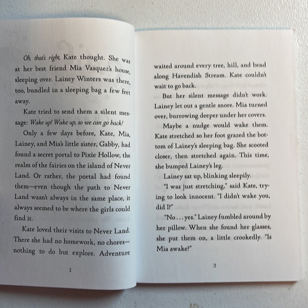 ๐2/$6 2-Book Bundle Never Girls Series - Picture 9 of 16